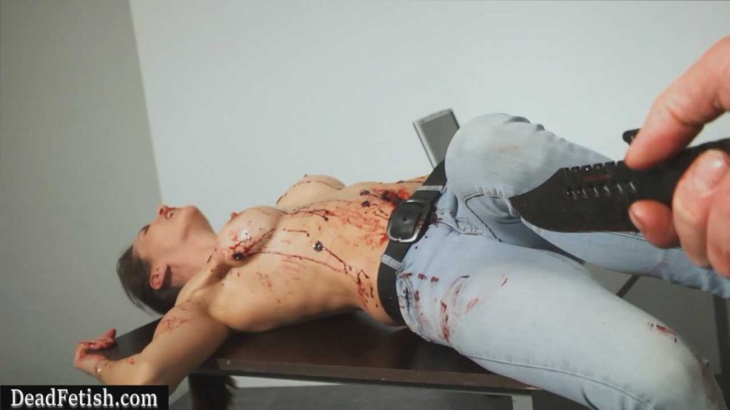 Amazon-Warriors - The Loyal Agent Part 2