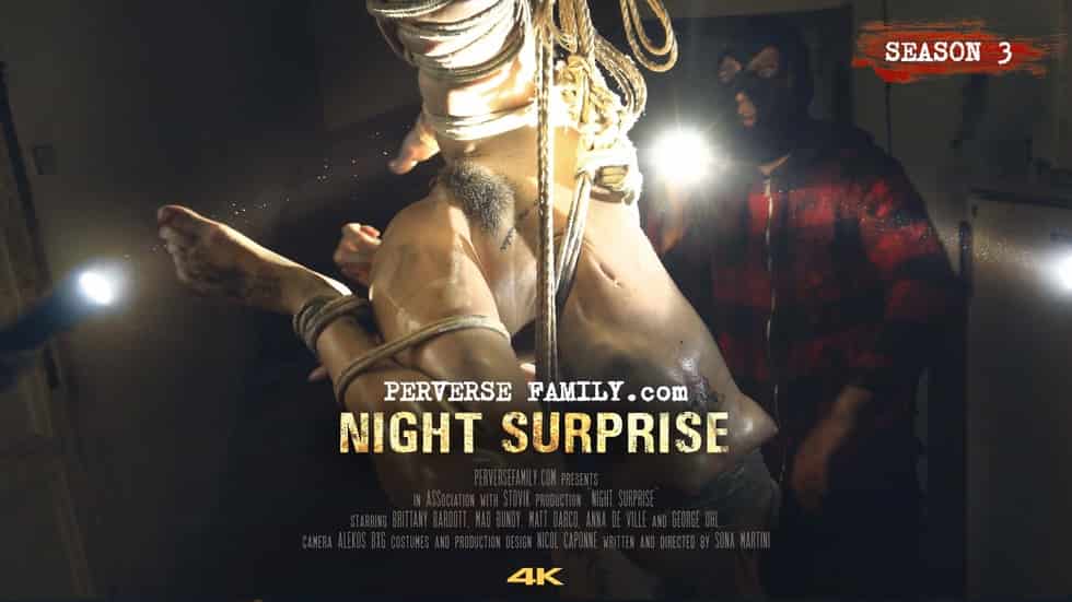 Perverse Family (0376) - Night Surprise