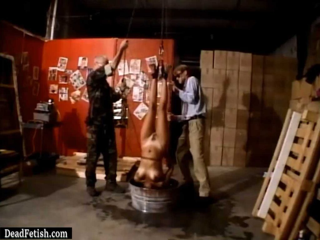 ZFX - South of the Border 4