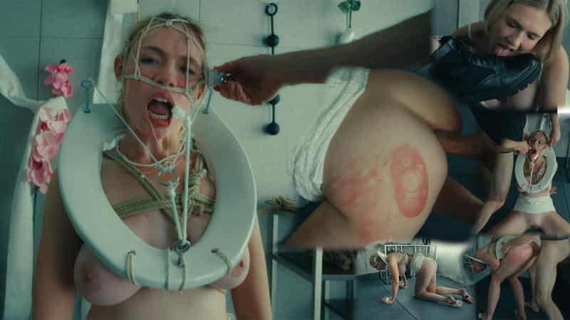 Assylum - The Most Beautiful Toilet Pet in the World