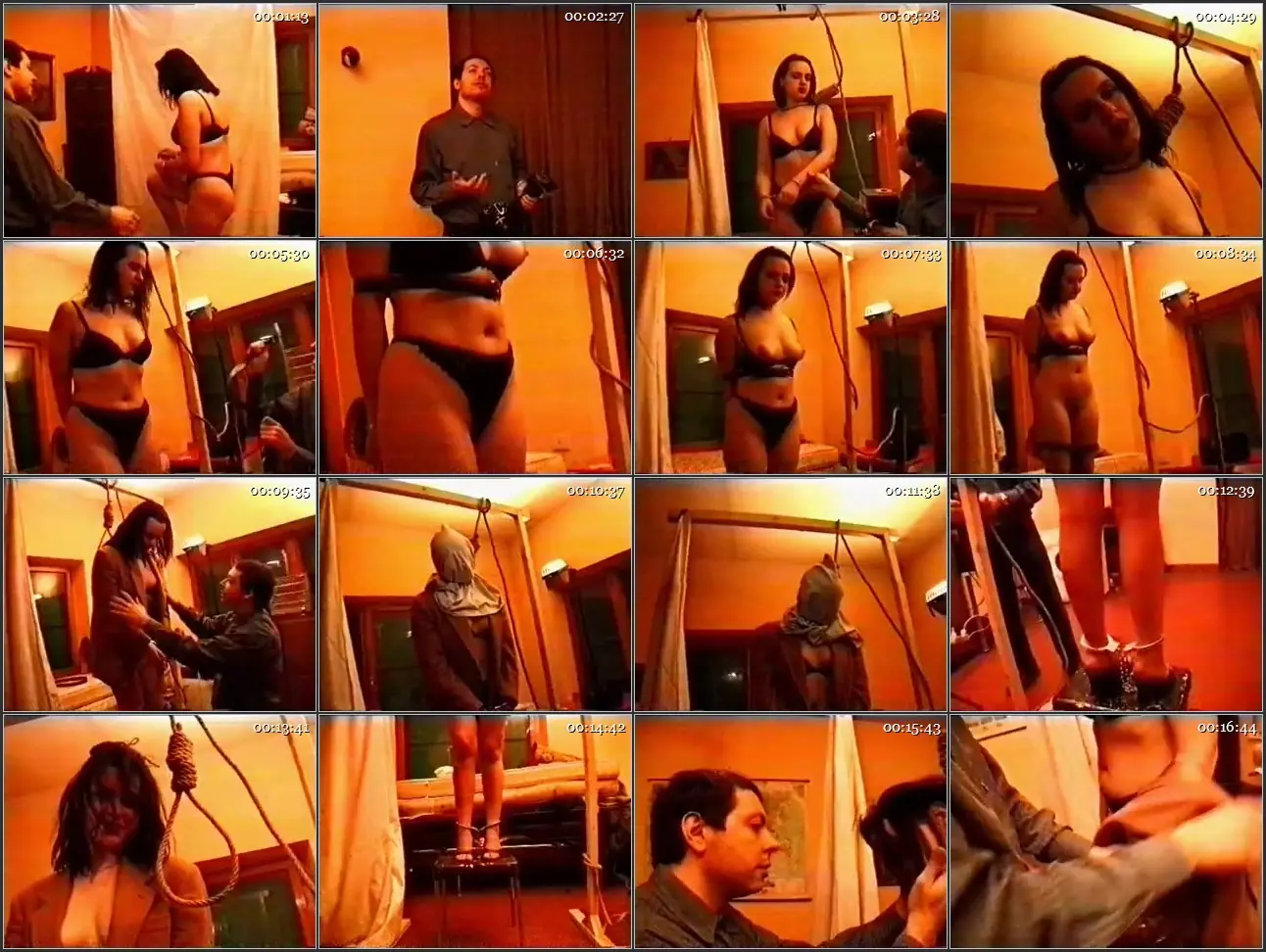 4_3Virgin - The_Model.mp4