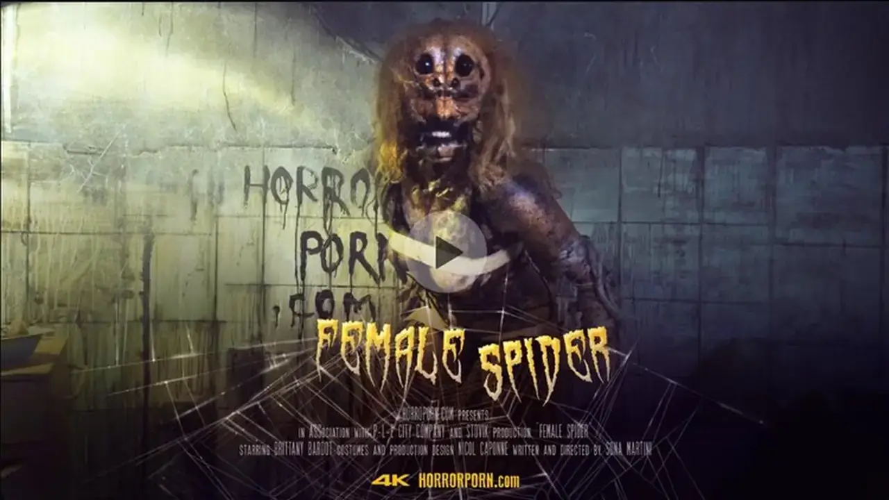 Female_spider_l