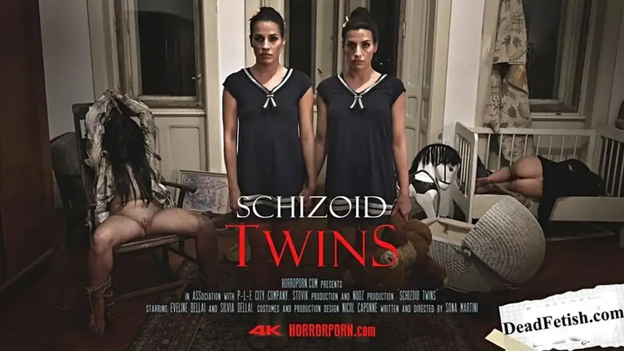Schizoid Twins