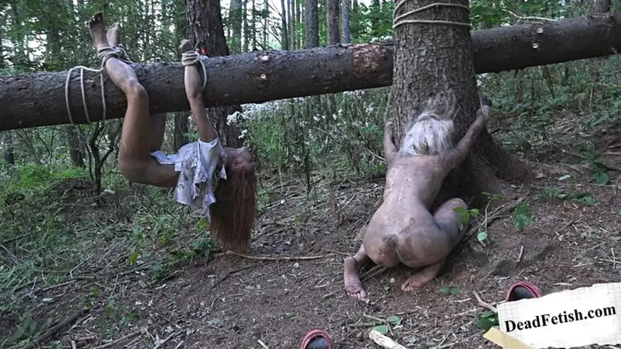 The darkside Of The Woods